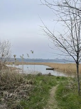 Photo de İBB Büyükçekmece Gölü Doğal Yaşam Parkı