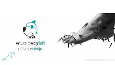 Photo de Fish Pedicure Njivice