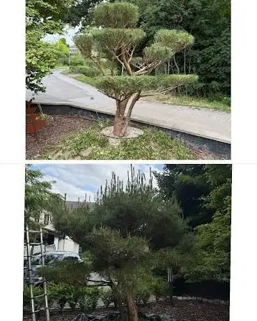 Photo de HA Gartenpflege