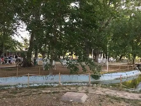 Photo de Ayaklı Piknik Alanı