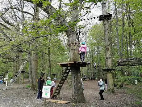 Photo de Chichoune Accroforest