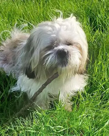 Photo de Skatepark Tempelhof