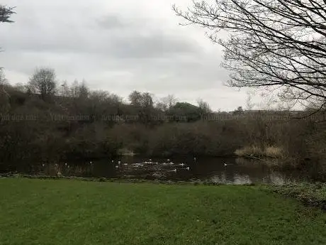 Photo de The Glen River Park(Páirc Abhainn an Ghleanna)