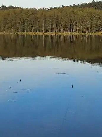 Photo de Leśne miejsce postoju pojazdów PUSTELNIA