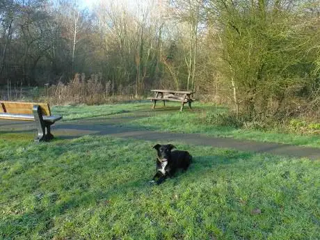 Photo de Rivacre Valley Country Park
