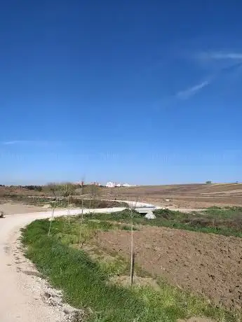 Photo de Cañada de Recueros (Arco verde)