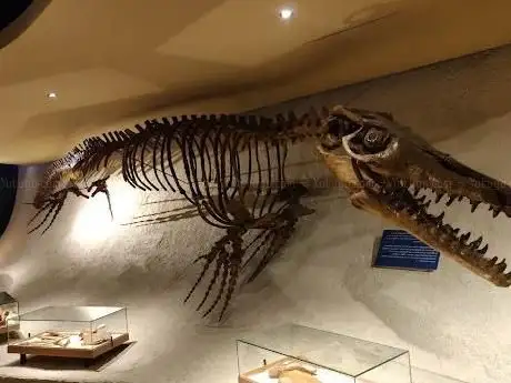 Photo de Musée d'histoire naturelle de Maastricht
