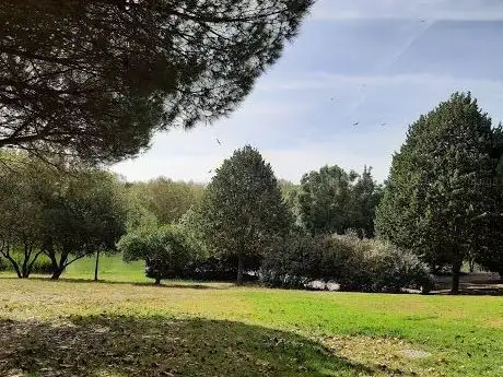 Photo de Devesas Park / Camellias Garden