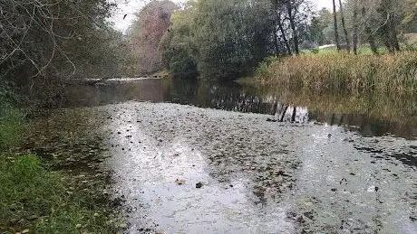 Photo de Zona de Lazer de Oriz (Santa Marinha) Rio Homem