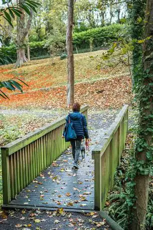Photo de Parc Public San Carlo