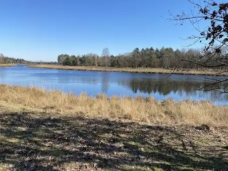 Photo de Somerense Heide