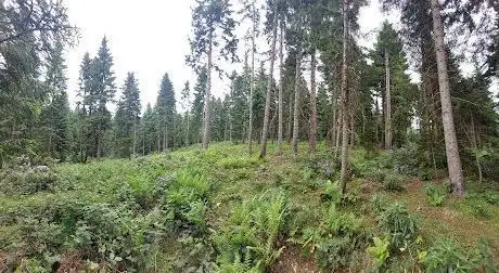 Photo de Kurucam Picnic park