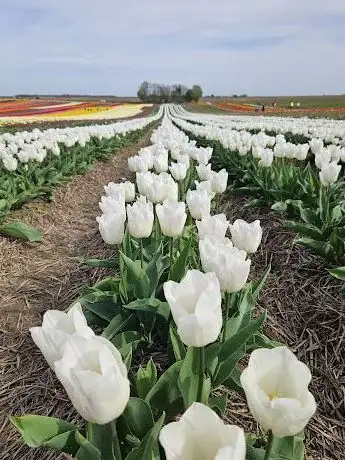 Photo de Rad Region Niederrhein - Knotenpunt 11