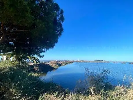 Photo de Plage de Barril
