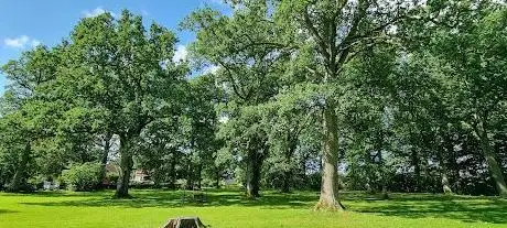 Photo de Geijers äng
