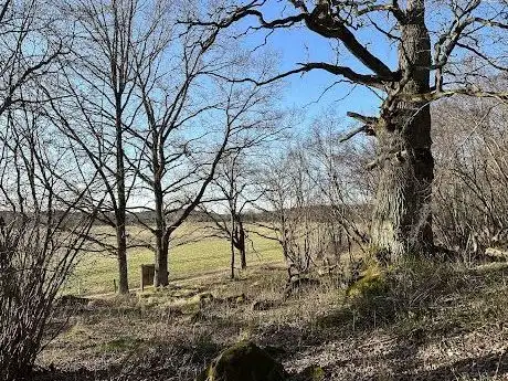 Photo de Nåntuna lund
