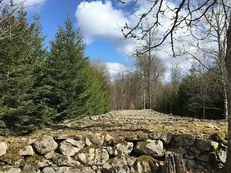 Photo de Stenmur i Runnarsköp