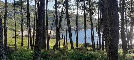Photo de Humedal de Escorregadoiro