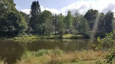 Photo de Kleiner See in Hellern