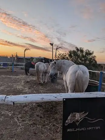 Photo de Fettah cavalier