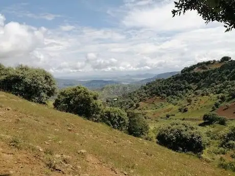 Photo de TAOUFIK LADONA