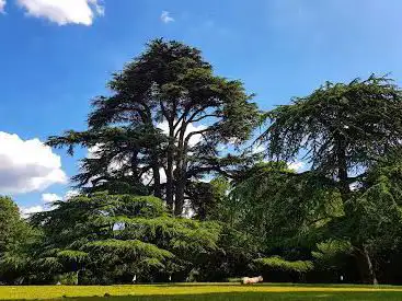 Photo de Boston Manor Park