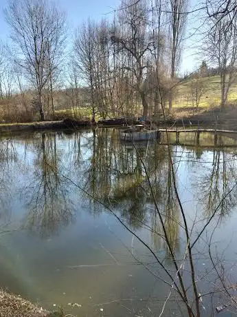 Photo de Arboretum de la Tuilliere