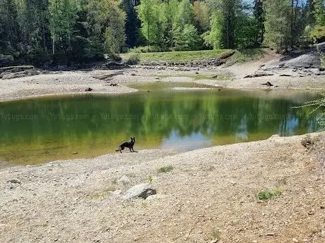 Photo de Forstsee FKK-Badebucht