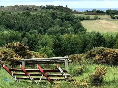 Little Sugar Loaf