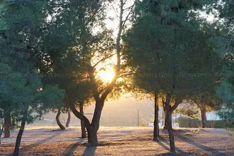 Photo de Ãrea Recreativa 