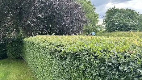 Photo de Gröna Tjänster