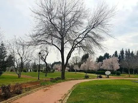 Photo de Festival Park