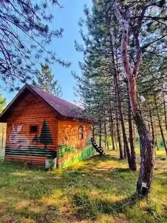 Photo de Lucky Deer in Mengen Bolu