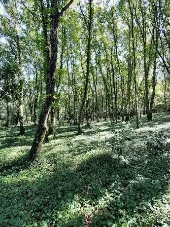 Photo de Quinta Da Moenda da Liga para a Protecção da Natureza