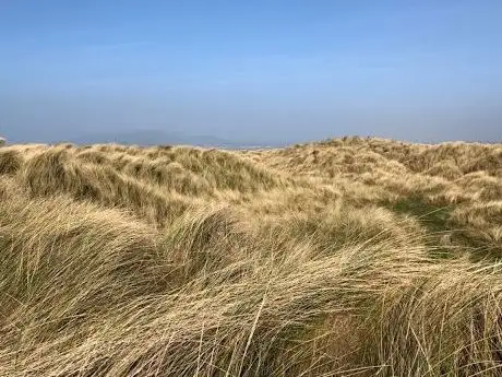 Photo de North Bull Island