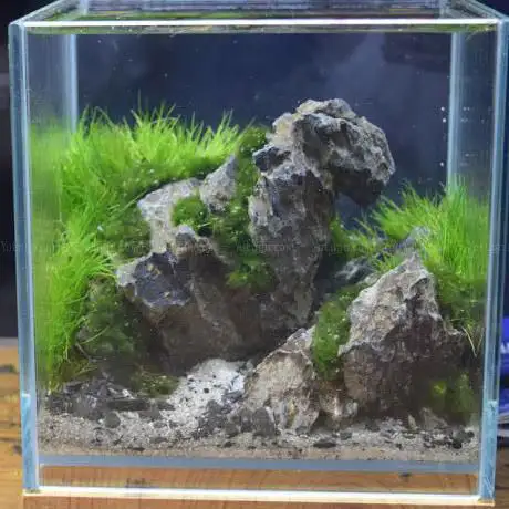 Photo de Crystal Reef - acquari su misura