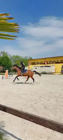 Photo de Equestrian Center Belloli A.s.d