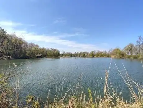 Foto de Naturschutzgebiet Lengwiler Weiher
