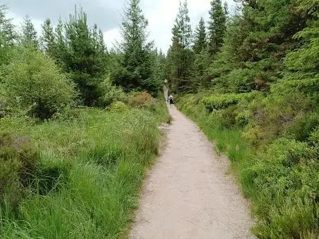 Photo de Glen Of Aherlow Forest Recreational Area