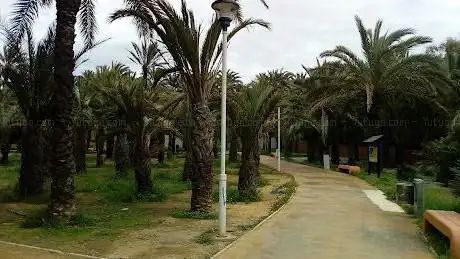Photo de Palmeras Park