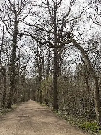 Photo of Forêt de Bondy