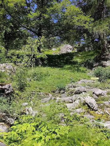 Photo de Juliana Alpine Botanical Garden