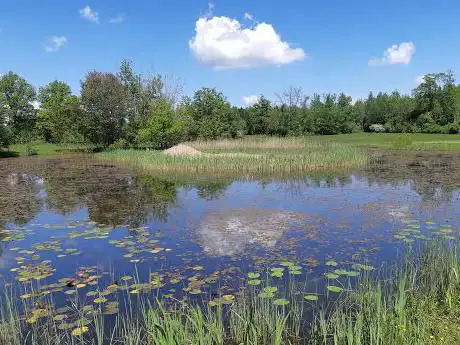 Photo de Vogelmoos Nature Reserve