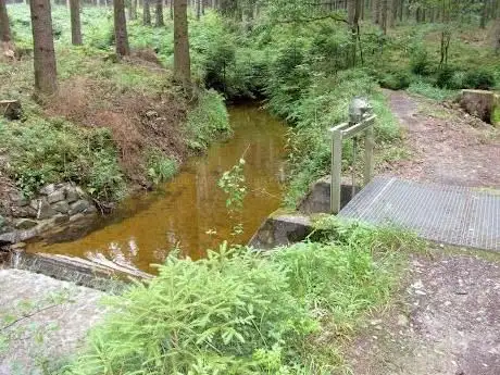 Photo de Hasselbachgraben - Hürtgenwald / Westwall