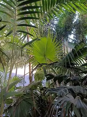 Photo de Serre des forêts tropicales humides
