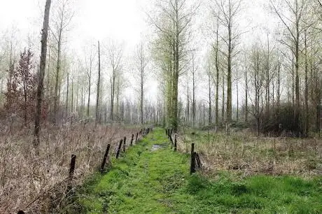 Photo de Solegembos