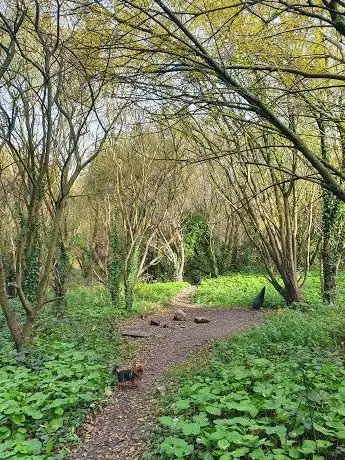 Photo de Beaumont Quarry
