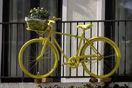 Photo de Le vélo jaune