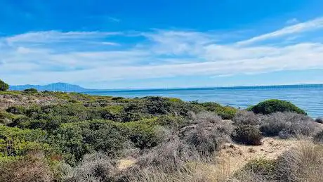 Photo de Trail Artola Dunes