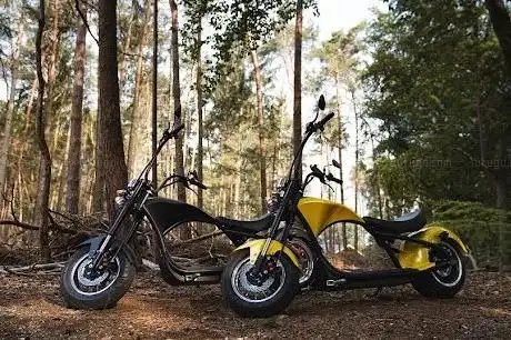 Photo de E-Rebel | E-chopper huren  kopen of leasen